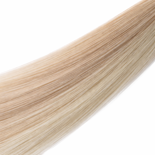 Paris Hilton Bandit (9") | Hairpiece