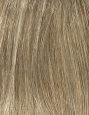 Denise | Envy Wigs