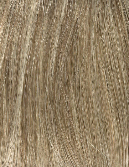 Denise | Envy Wigs