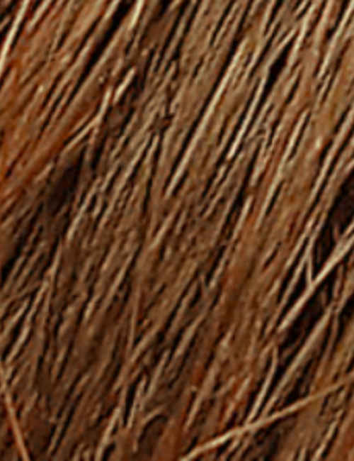 Expression | Hairware Wig