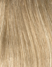 Cassandra | Envy Wigs