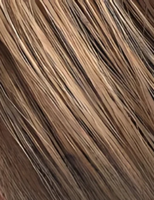 Braid Bun - Hairware Hairpieces