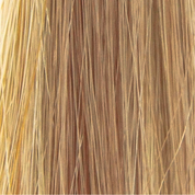 Ashlyn | TressAllure Wig