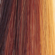 Brianna | TressAllure Wig