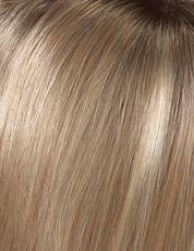 Denise | Envy Wigs