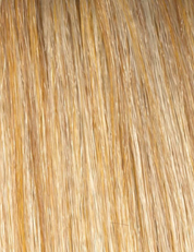 Abbey | Envy Wig