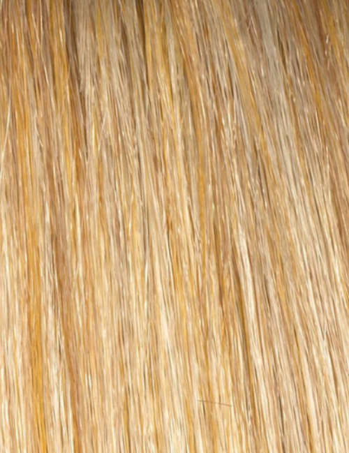 Abbey | Envy Wig