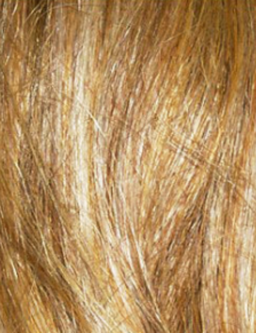 Romance | Hairware Wig